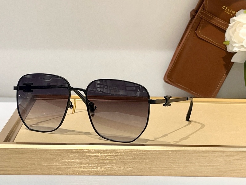 CELINE Sunglasses 118